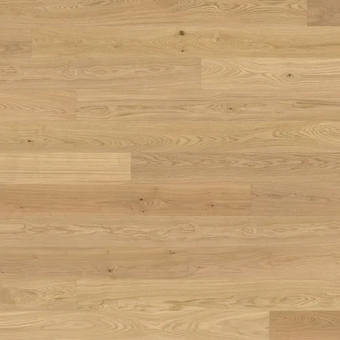 Дуб Invisible Markant
