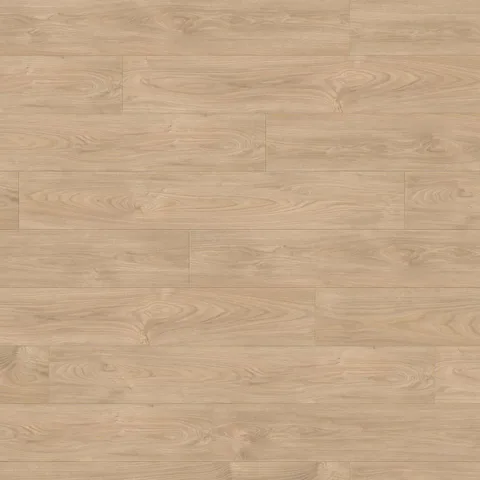 Клён серебристый Vario