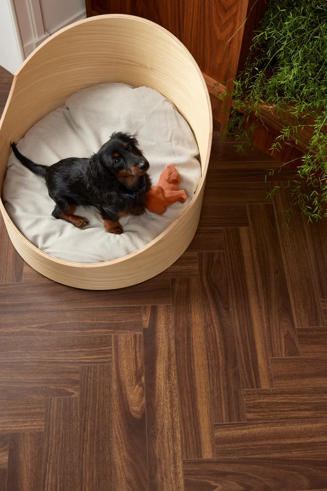 Walnut Brown